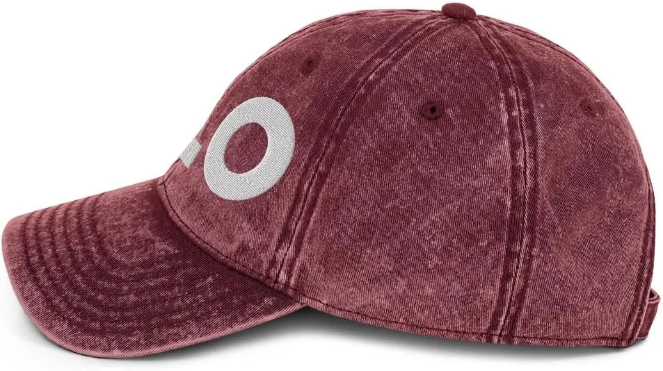 ALO Airport Hat (Embroidered Vintage Cotton Twill Cap) Flying to Waterloo Airport Gift