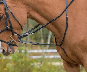 Avignon German Martingale (Pony, Black)