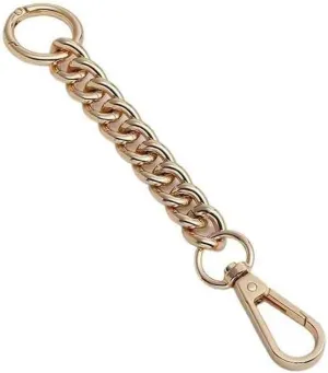 Bag Straps Chain Bag Shoulder Strap Bag Extension Lengthened Armpit Short Chain Bag Transformation Accessories Straps for Bags (Straight Gold)