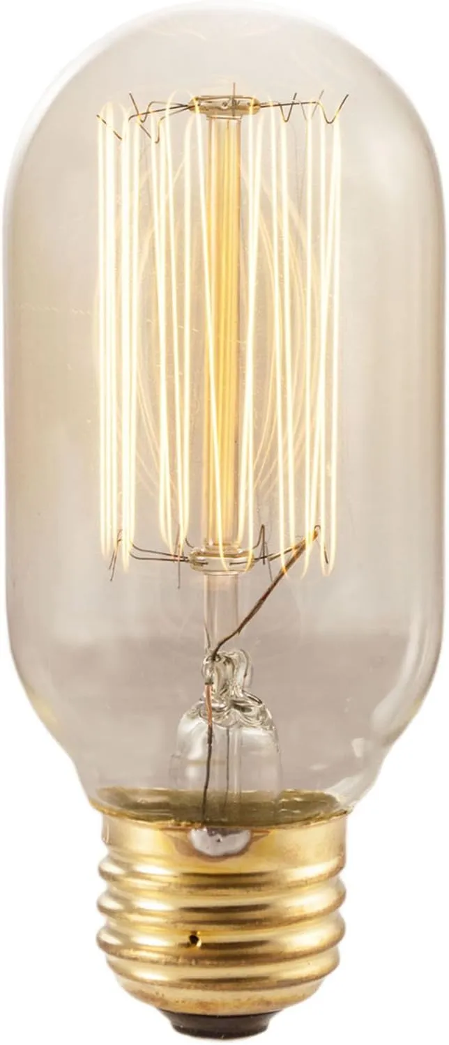 Bulbrite Incandescent T14 Medium Screw Base (E26) Light Bulb, 1 Count (Pack of 1), Antique