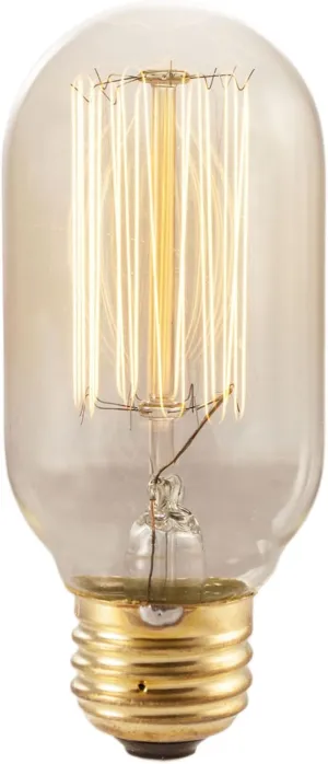 Bulbrite Incandescent T14 Medium Screw Base (E26) Light Bulb, 1 Count (Pack of 1), Antique