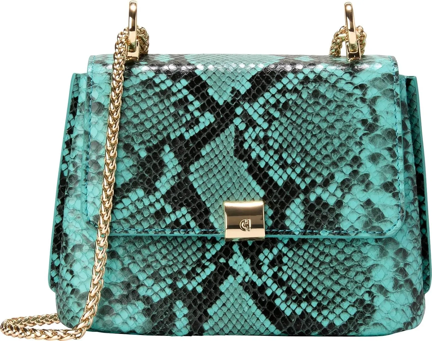 Cole Haan Mini Convertible Chain Bag