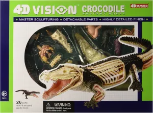 Famemaster 4D Vision Crocodile Anatomy Model