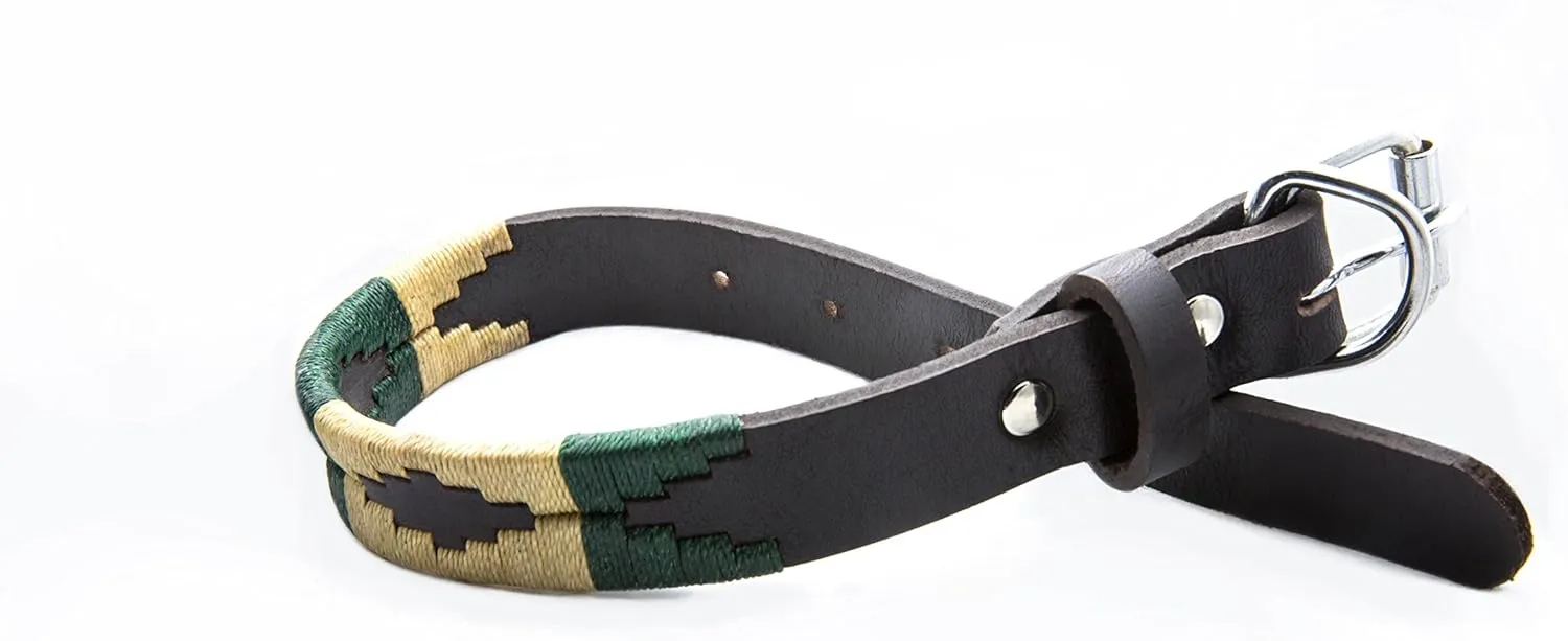 Leather Dog Collar - Palm Desert (S)