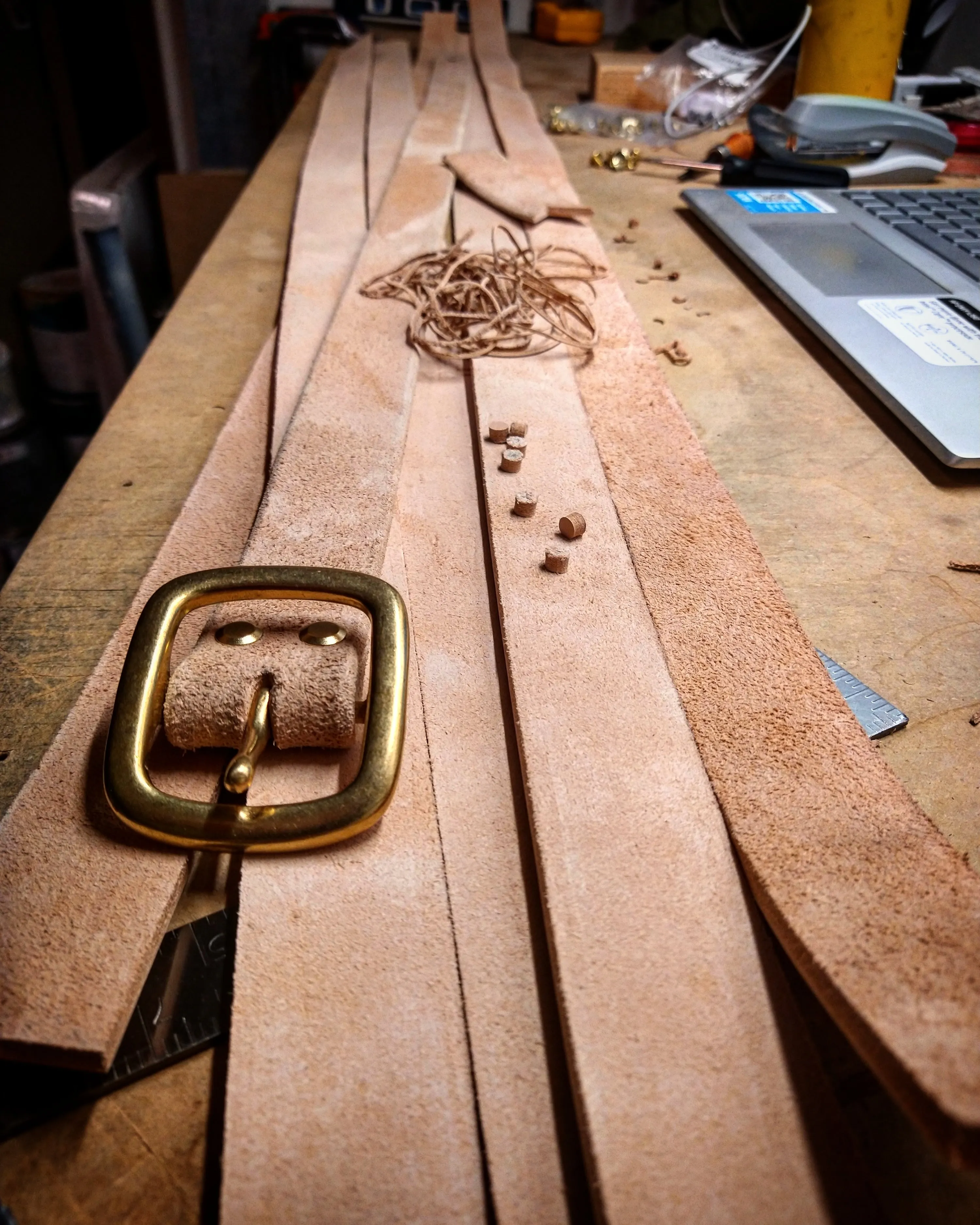The Xolution Belt