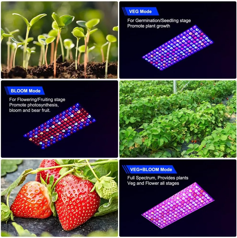 Upgraded BW1000 LED Grow Lights Double Chips Full Spectrum with 10ft Cable for Greenhouse and Indoor Plant Veg and Flower Growing [Black]